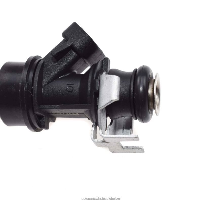 17113553 17113698 FJ315 Fuel Injecto 8JZ6H123 - Car Spare Part Wholesaler CHEROLET&GM