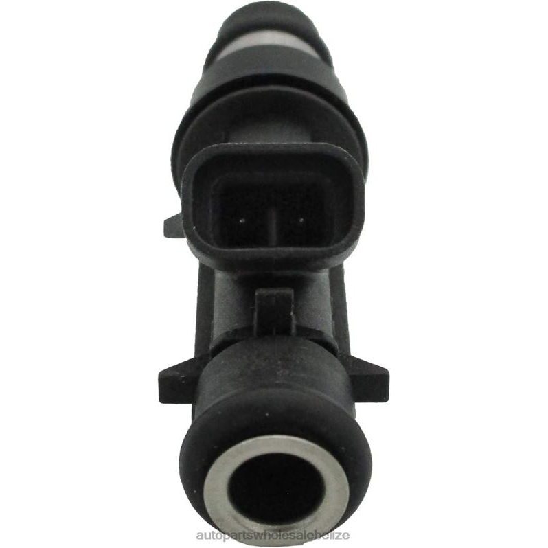 FJ318 FJ10066 25323971 12586554 25322180 Fuel Injecto 8JZ6H142 - Automobile Spare Parts Wholesaler CHEROLET&GM