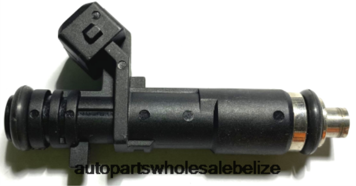 XJ0H2076 CHEVROLET Fuel Injector 25186566 - Car Parts Online