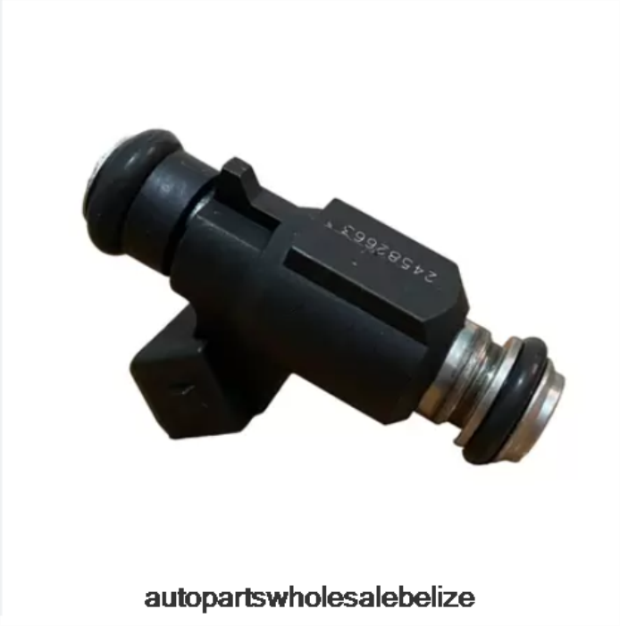 XJ0H87 CHEVROLET 24582663 Fuel Injector - Car Parts Belize City
