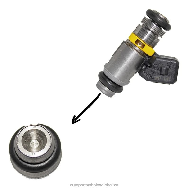IWP041 Fuel Injector for VOLKSWAGEN 8JZ6H710 - Auto Spare Parts Wholesale