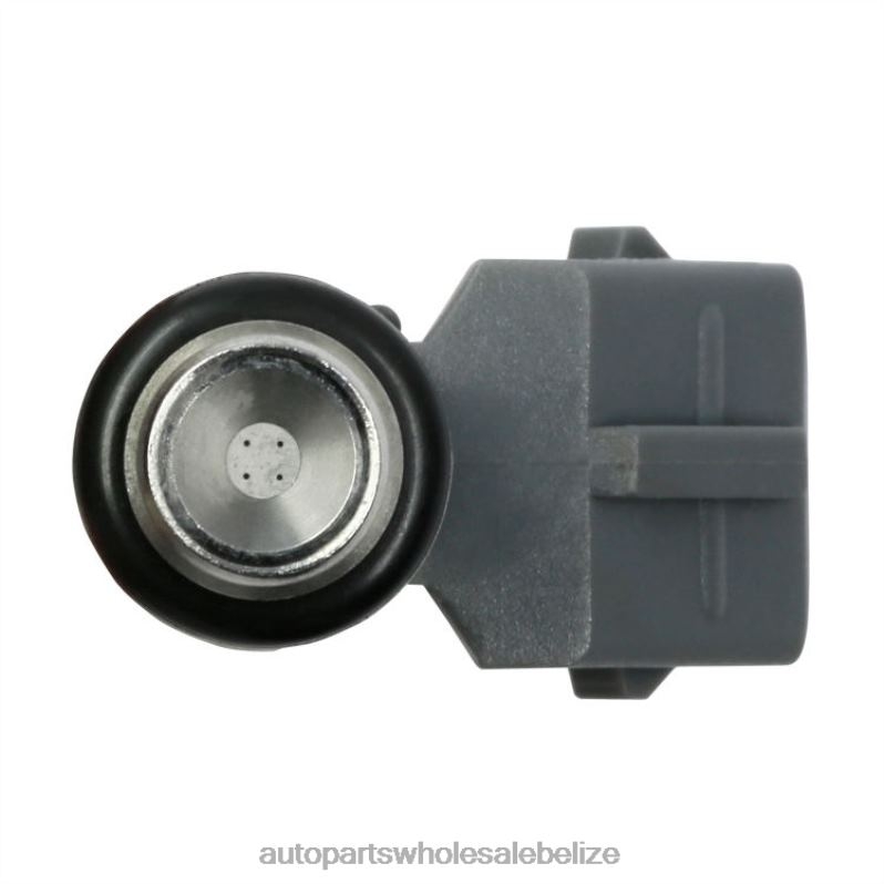 IWP044 Fuel Injector for VOLKSWAGEN 8JZ6H709 - Car Parts Wholesale Suppliers