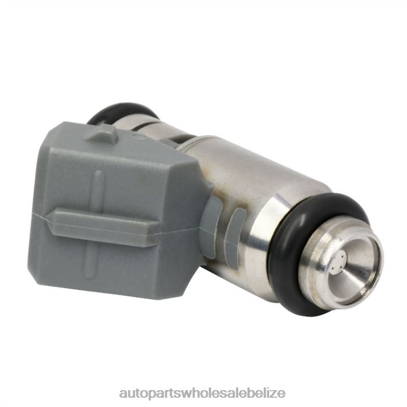 IWP044 Fuel Injector for VOLKSWAGEN 8JZ6H709 - Car Parts Wholesale Suppliers