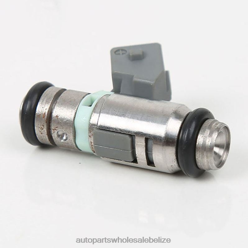 IWP168 Fuel Injector for FIAT 8JZ6H733 - Car Spare Part Wholesaler