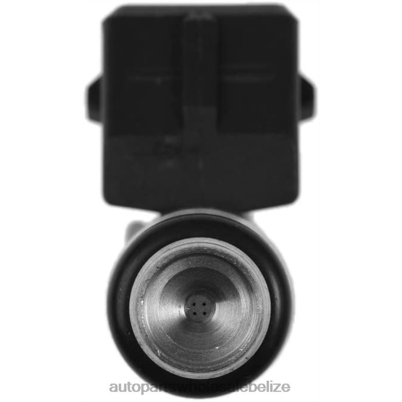 iwp001 Fuel Injecto 8JZ6H493 - Car Spare Part Wholesaler FIAT