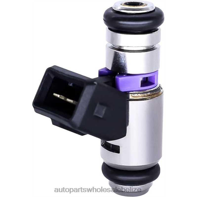 iwp065 Fuel Injecto 8JZ6H491 - Wholesale Automotive Spare Parts FIAT