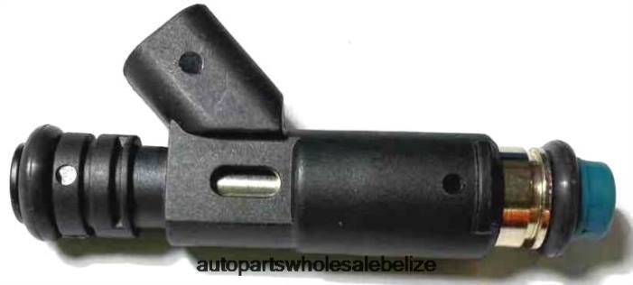 XJ0H2178 FORD Fuel Injector 2F1Z9F593AA - Car Parts Belmopan