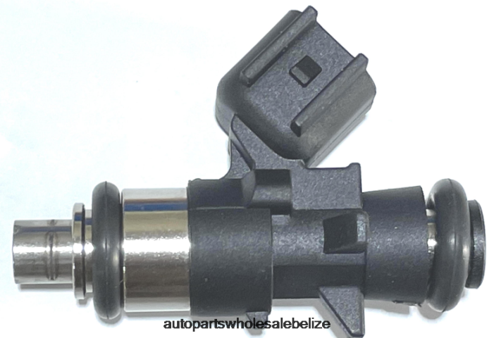 XJ0H2305 JEEP Fuel Injector 4627794AA - Car Parts Belize