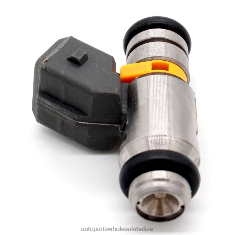 IWP041 50100902 0369980311 Fuel Injecto 8JZ6H218 - Car Parts Belmopan RENAULT