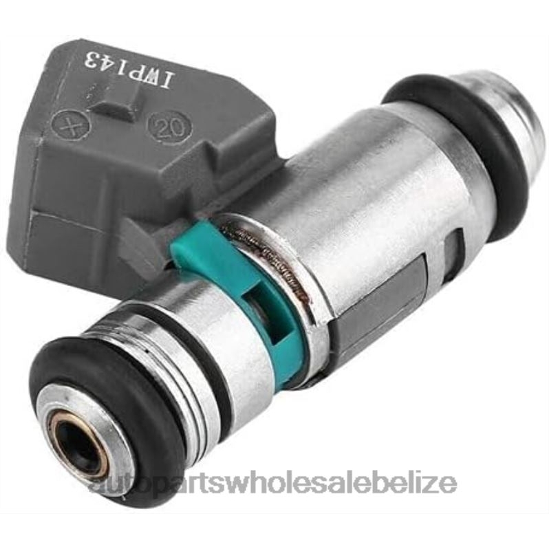 IWP143 8200128959 75112142 50102602 805001571701 Fuel Injecto 8JZ6H213 - Car Spare Part Wholesaler RENAULT