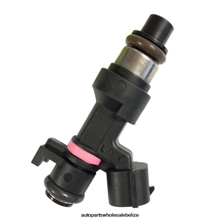 XJ0H95 RENAULT 166006863R Fuel Injector - Car Parts Belize