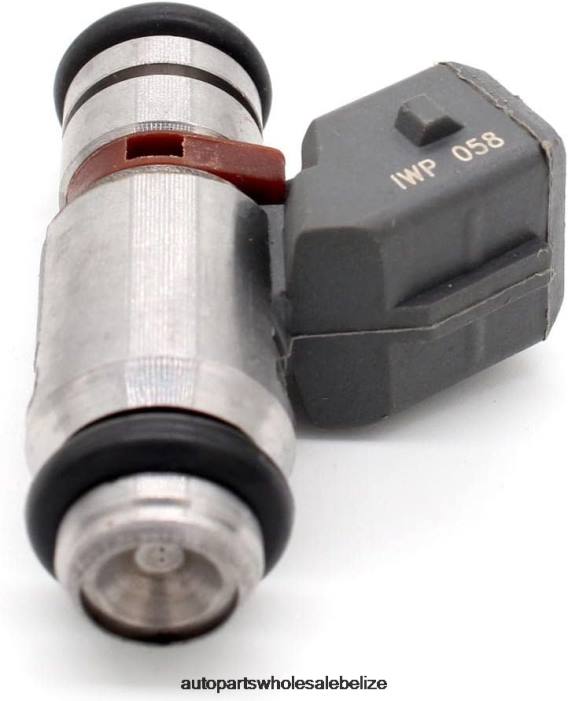 XJ0H97 VOLKSWAGEN IWP058 Fuel Injector - Car Parts Belize City