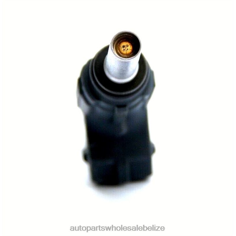 FJ651 06A906031AB Fuel Injecto 8JZ6H339 - Car Parts Wholesale Suppliers VW SKODA