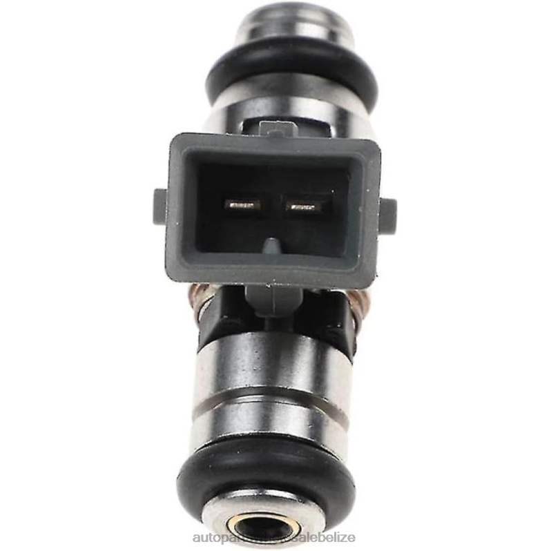 IWP114 Fuel Injecto 8JZ6H383 - Car Spare Part Wholesaler VW SKODA