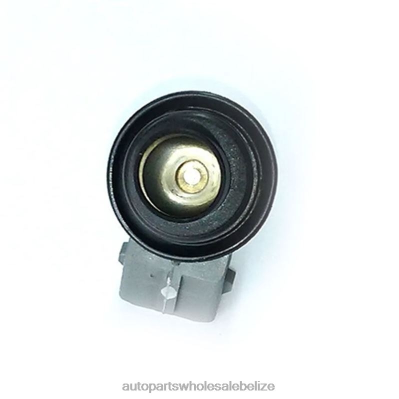 WP176 Fuel Injecto 8JZ6H385 - Car Parts Belize VW SKODA