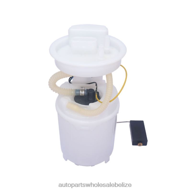 Fuel Pump Module 6N0919051N 6N0919087F for VW 8JZ6H855 - Car Parts Belize
