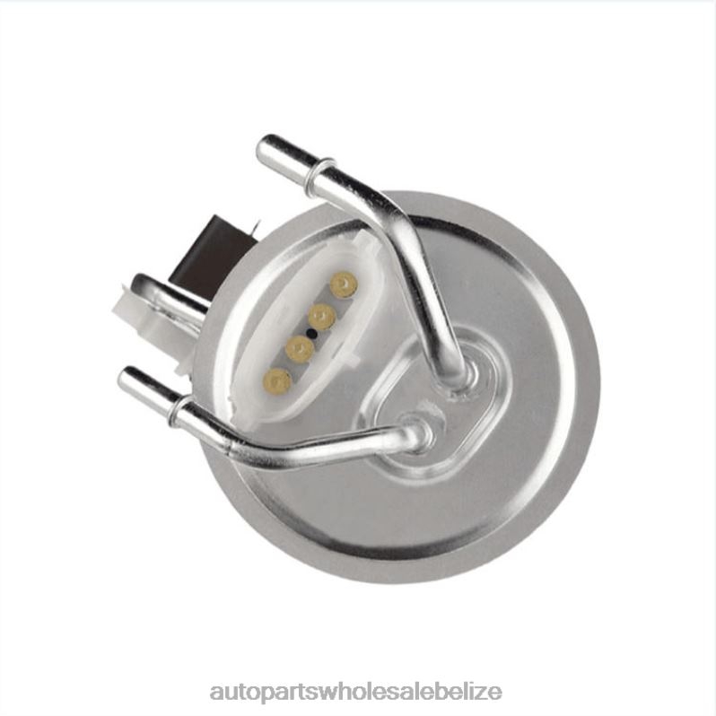 Fuel Pump Module E2147S SP2019H P74598S E9UZ9H307CA for Ford 8JZ6H823 - Car Spare Part Wholesaler
