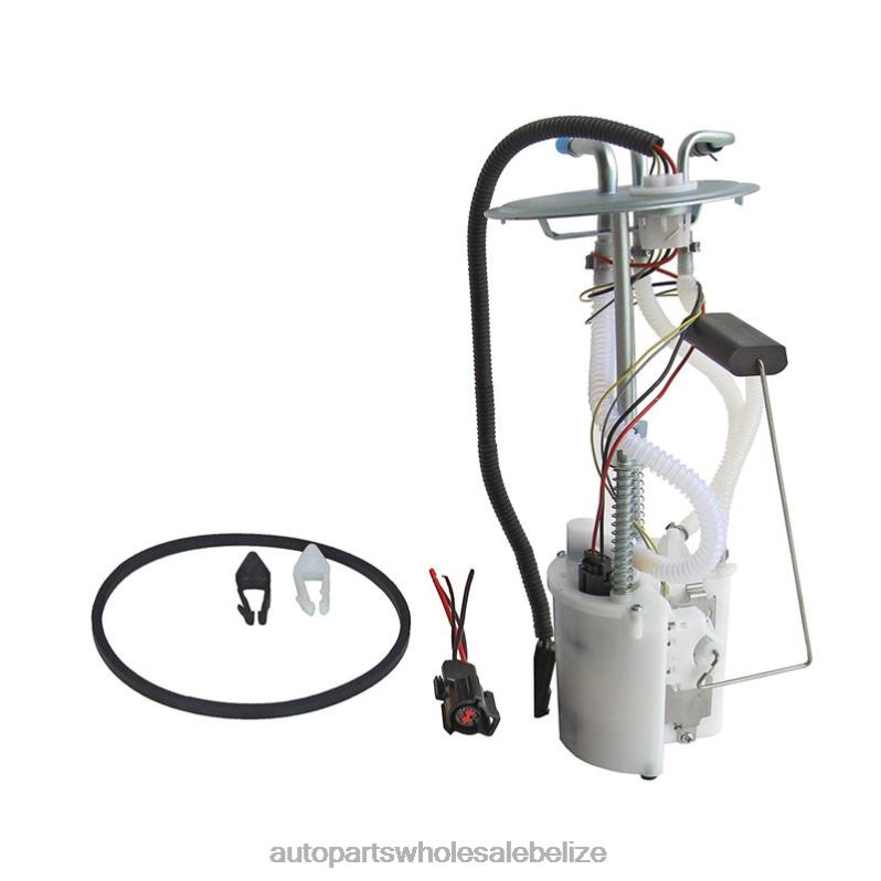 Fuel Pump Module E2220M TU260 P75038M for Ford 8JZ6H759 - Car Parts Wholesale Suppliers