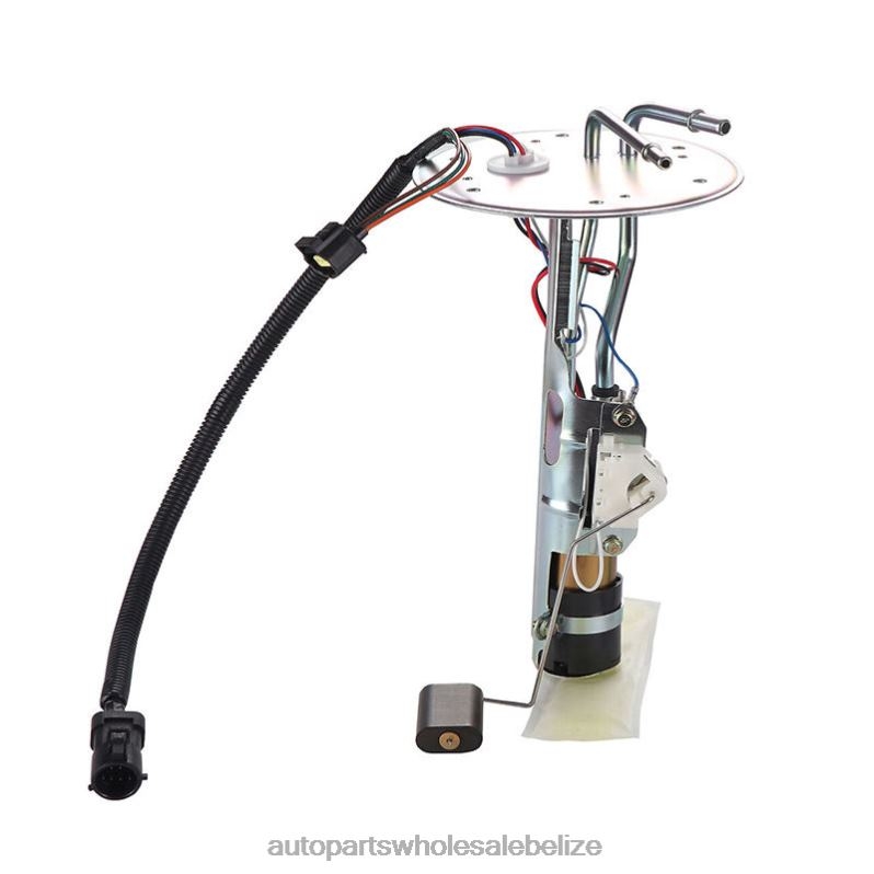 Fuel Pump Module E2266S P74805S SP2266H for Ford 8JZ6H791 - Wholesale Automotive Spare Parts
