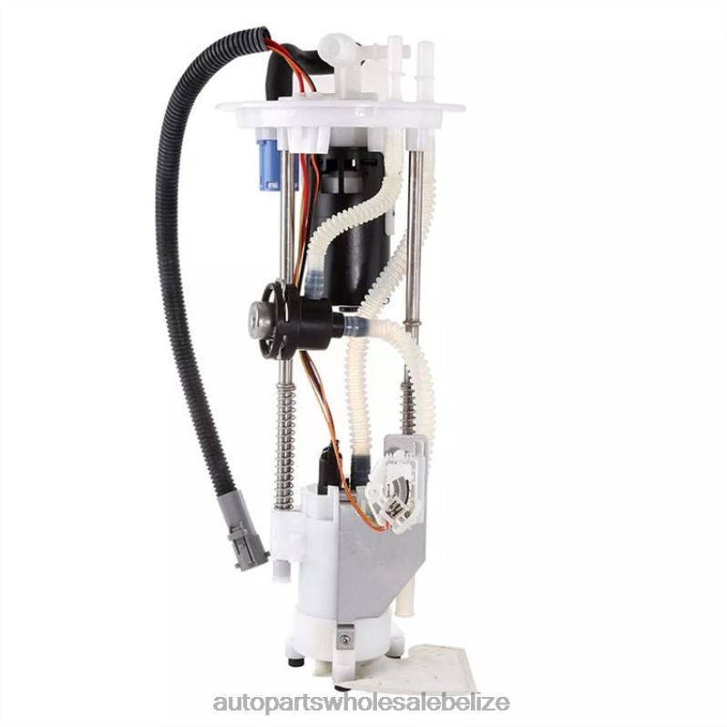 Fuel Pump Module E2295M FG0871 P74997M for Ford 8JZ6H769 - Car Parts Wholesale Suppliers