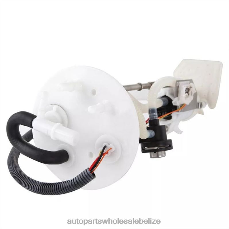 Fuel Pump Module E2295M FG0871 P74997M for Ford 8JZ6H769 - Car Parts Wholesale Suppliers