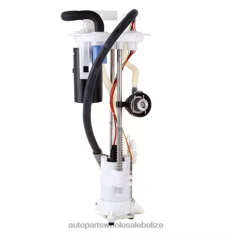 Fuel Pump Module E2295M FG0871 P74997M for Ford 8JZ6H769 - Car Parts Wholesale Suppliers