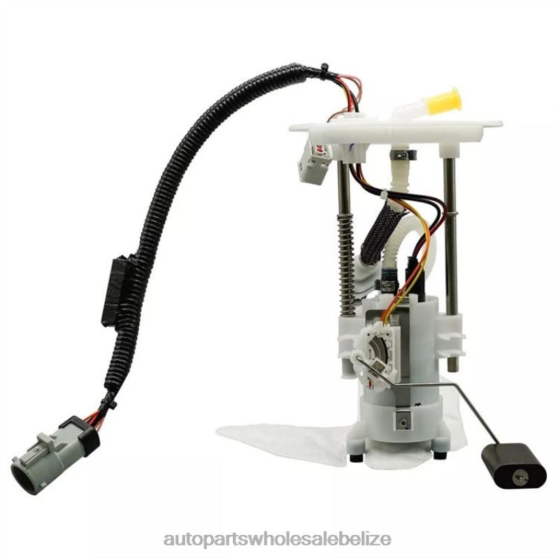 Fuel Pump Module E2355M FG0868 P76125M for Ford 8JZ6H775 - Car Parts Belize