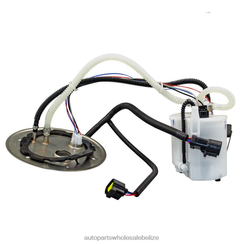 Fuel Pump Module E2438M P76398M TU265 6C3Z9H307AD for Ford 8JZ6H780 - Auto Spare Parts Wholesale