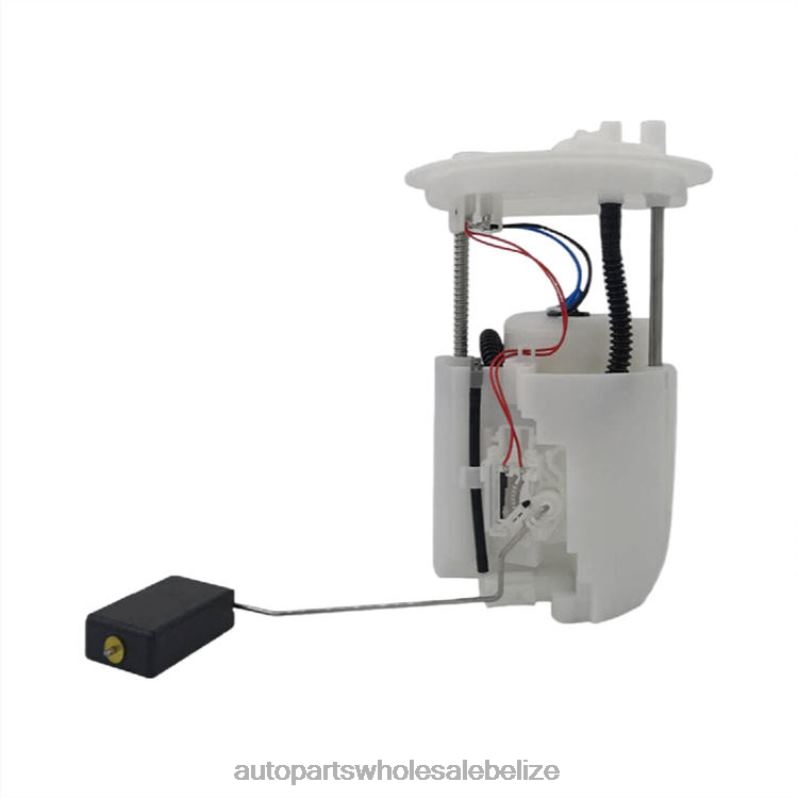 Fuel Pump Module E2458M FG1143 P76307M for Ford 8JZ6H782 - Automobile Spare Parts Wholesaler