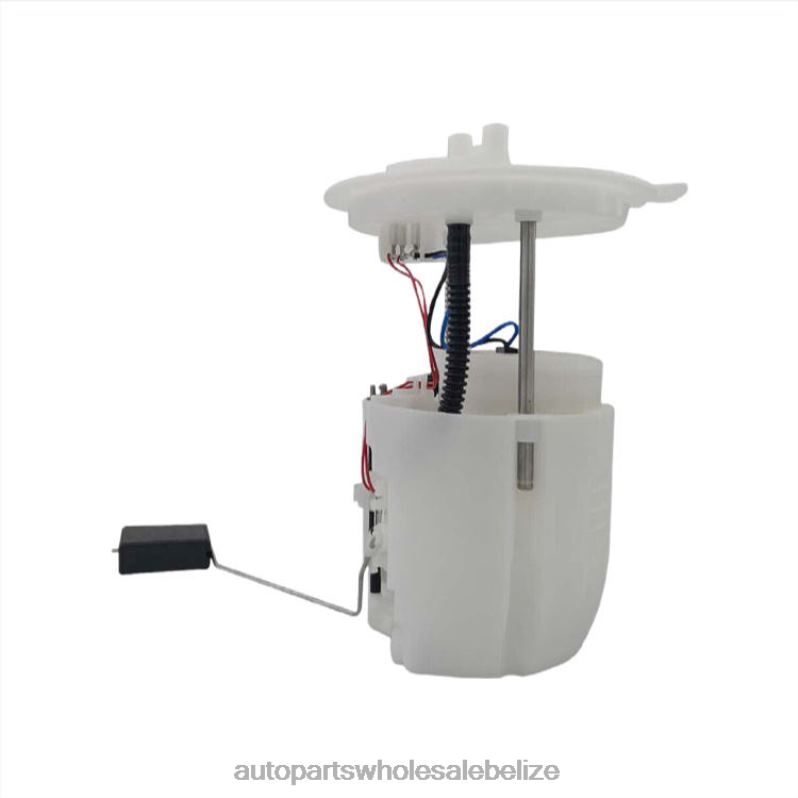 Fuel Pump Module E2458M FG1143 P76307M for Ford 8JZ6H782 - Automobile Spare Parts Wholesaler