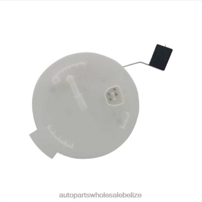 Fuel Pump Module E2458M FG1143 P76307M for Ford 8JZ6H782 - Automobile Spare Parts Wholesaler