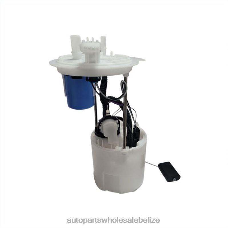 Fuel Pump Module E2523M SP2496M FG1319 P76463M 9L1Z9H307D 9L1Z-9H307-D for Ford 8JZ6H819 - Car Parts Wholesale Suppliers