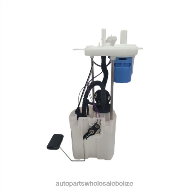Fuel Pump Module E2523M SP2496M FG1319 P76463M 9L1Z9H307D 9L1Z-9H307-D for Ford 8JZ6H819 - Car Parts Wholesale Suppliers