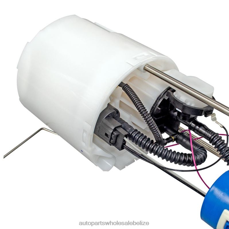Fuel Pump Module E2581M SP2470M BC2Z-9H307-A for Ford 8JZ6H815 - Car Parts Belize