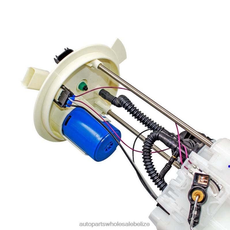 Fuel Pump Module E2581M SP2470M BC2Z-9H307-A for Ford 8JZ6H815 - Car Parts Belize