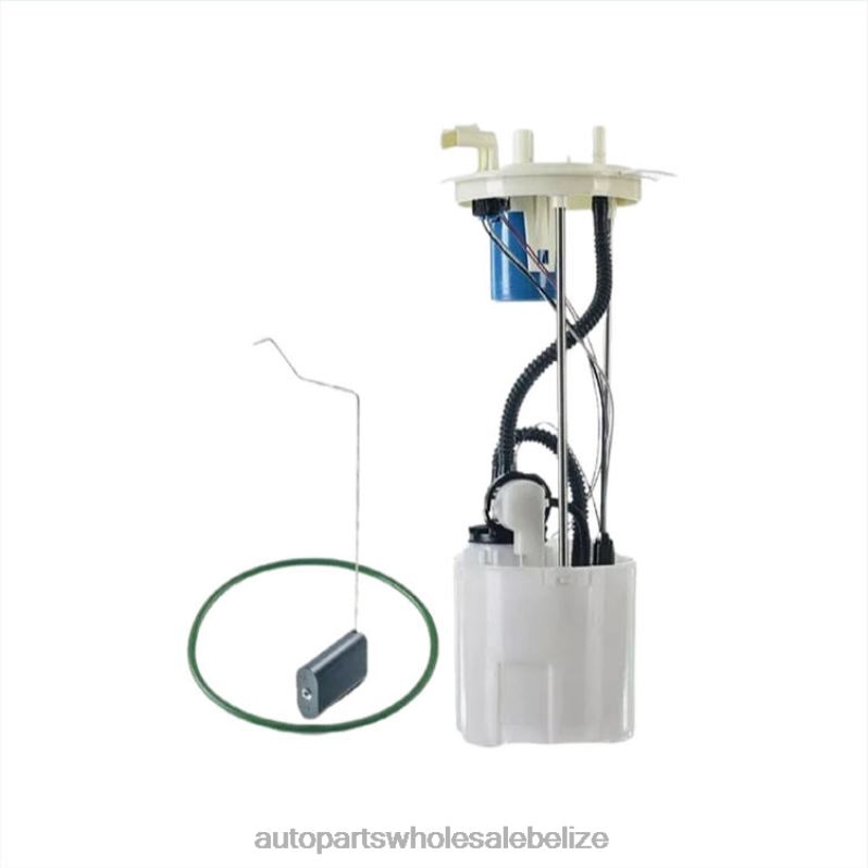 Fuel Pump Module E2582M P76865M SP2474M BC3Z9H307D for Ford 8JZ6H813 - Car Spare Part Wholesaler