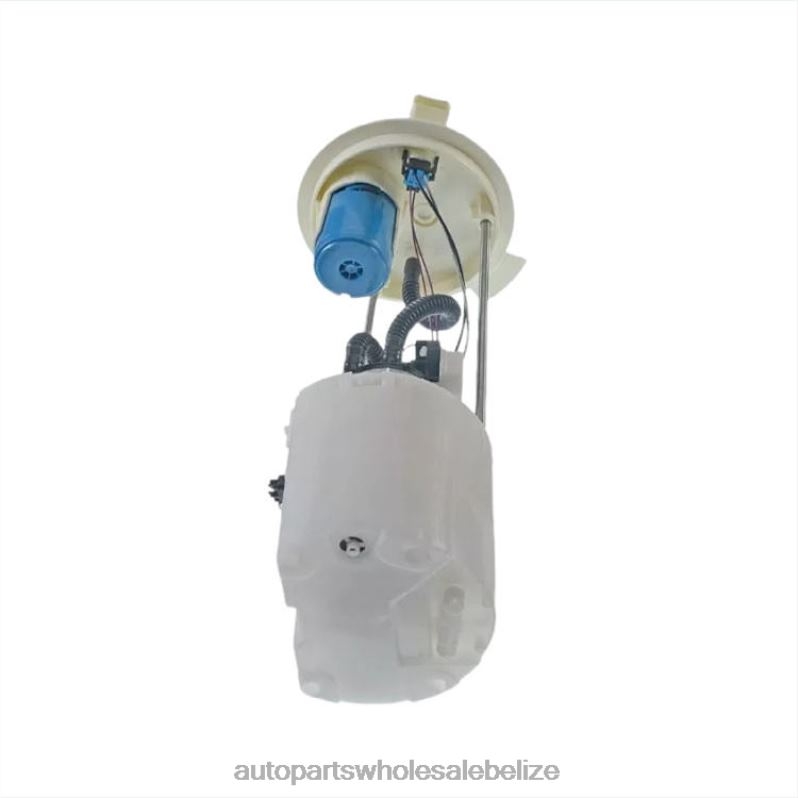 Fuel Pump Module E2582M P76865M SP2474M BC3Z9H307D for Ford 8JZ6H813 - Car Spare Part Wholesaler
