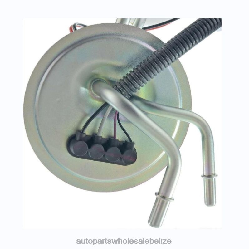 Fuel Pump Module SP2007H HP10262 P77252S F6TZ9A407CA for Ford 8JZ6H825 - Car Parts Belize