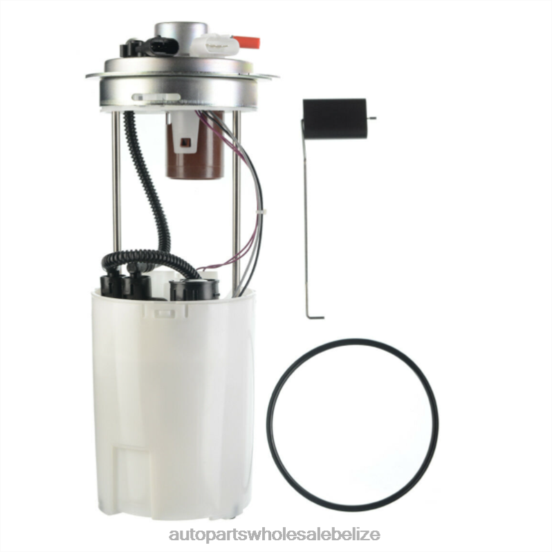 Fuel Pump Module E3678M FG0399 FG0402 P76088M P76087M for GM 8JZ6H941 - Wholesale Automotive Spare Parts
