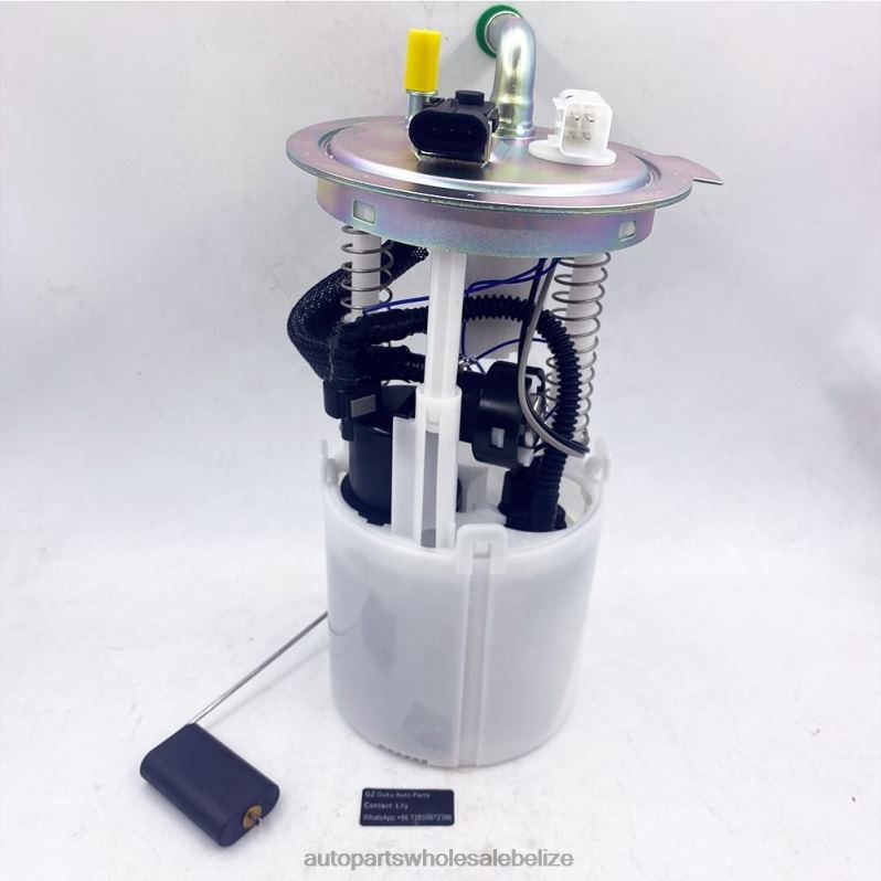 Fuel Pump Module E3707M E3769M MU1701 MU1655 MU1397 for GM 8JZ6H933 - Car Spare Part Wholesaler