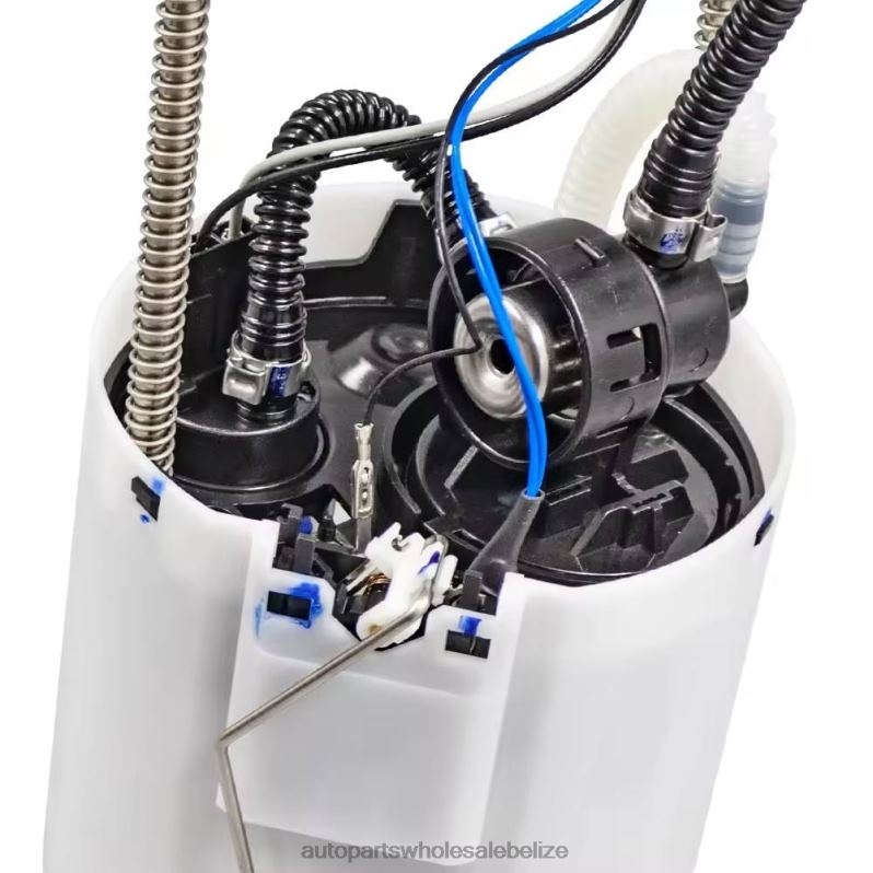 Fuel Pump Module E3747M FG1058 P76298M for GM 8JZ6H931 - Wholesale Automotive Spare Parts