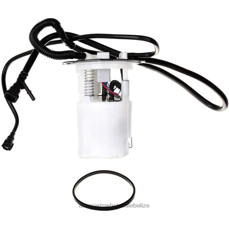 Fuel Pump Module E3755M FG0955 for GM 8JZ6H939 - Car Parts Wholesale Suppliers