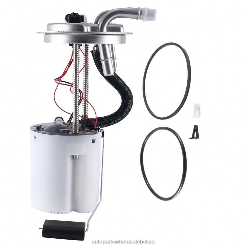 Fuel Pump Module E3765M SP6050M FG1153 P76299M for GM 8JZ6H952 - Automobile Spare Parts Wholesaler