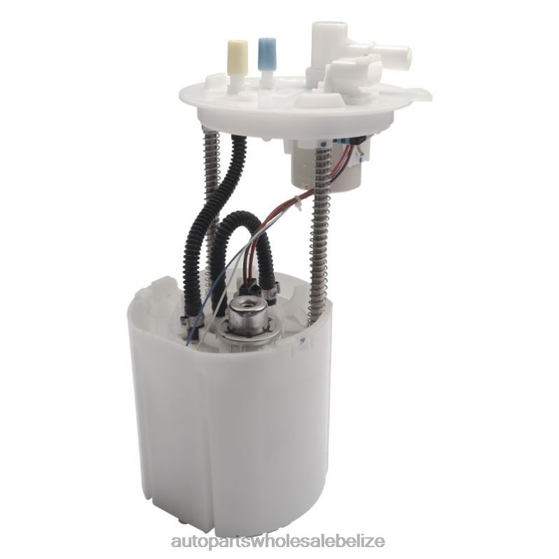 Fuel Pump Module E4030M P76881M SP6635M FG1743 for GM 8JZ6H962 - Automobile Spare Parts Wholesaler