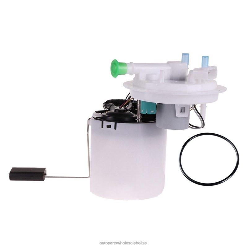 Fuel Pump Module E4050M P76790M SP4082M for GM 8JZ6H985 - Car Parts Belize