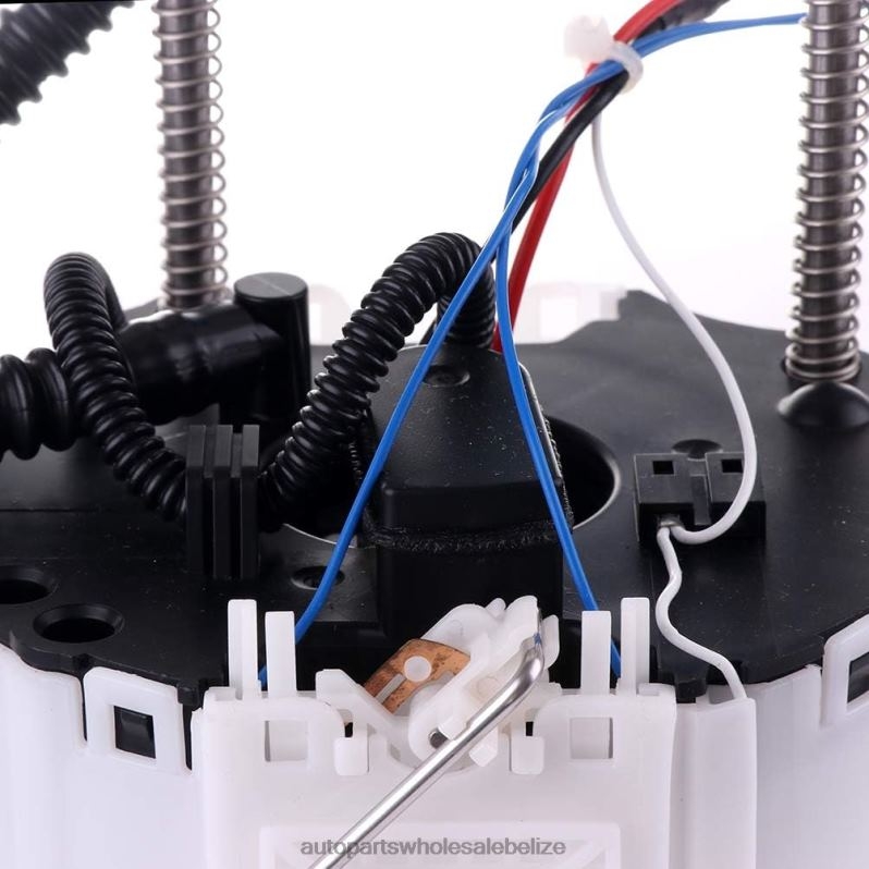 Fuel Pump Module E4065M FG2031 SP4077M for GM 8JZ6H1002 - Automobile Spare Parts Wholesaler