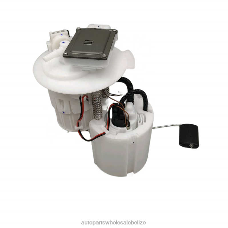 Fuel Pump Module 31110-C6200 8JZ6H1171 - Wholesale Automotive Spare Parts