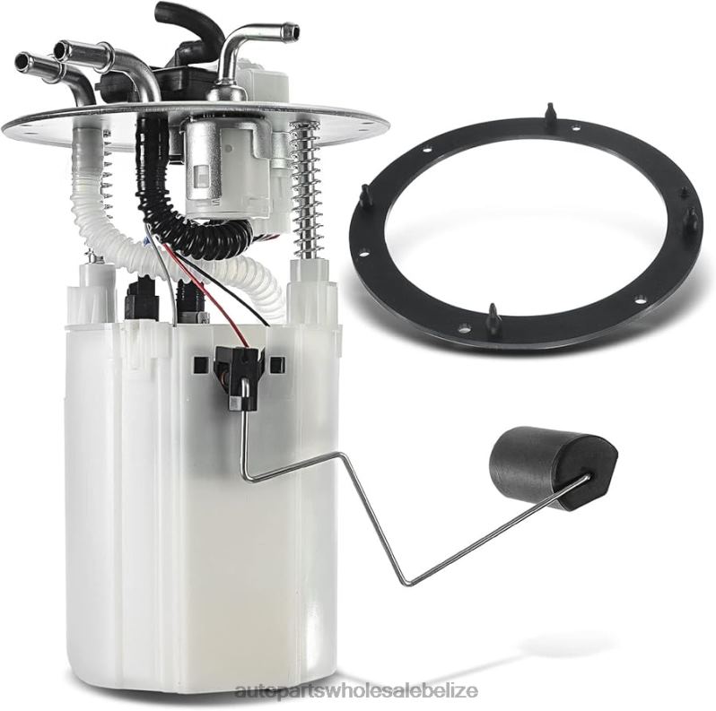 Fuel Pump Module E8663M SP3015M P76405M FG1258 for HYUNDAI 8JZ6H1134 - Motorcycle Spare Parts Wholesale