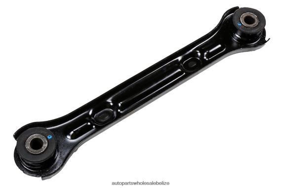Chevrolet Control Arm 92195504 - Automobile Spare Parts Wholesaler 8PF4Z1712