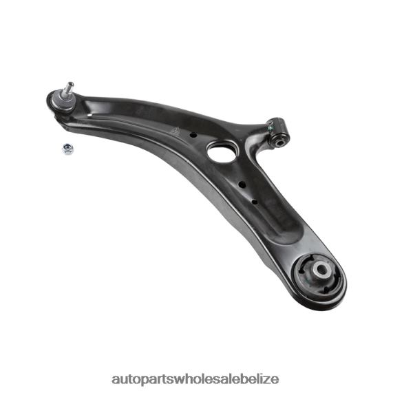 Hyundai Control Arm 54500-1P100 - Car Parts Wholesale Suppliers 8PF4Z1089